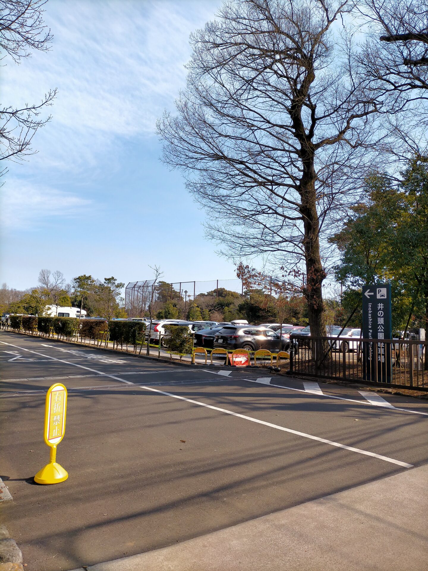 井の頭公園