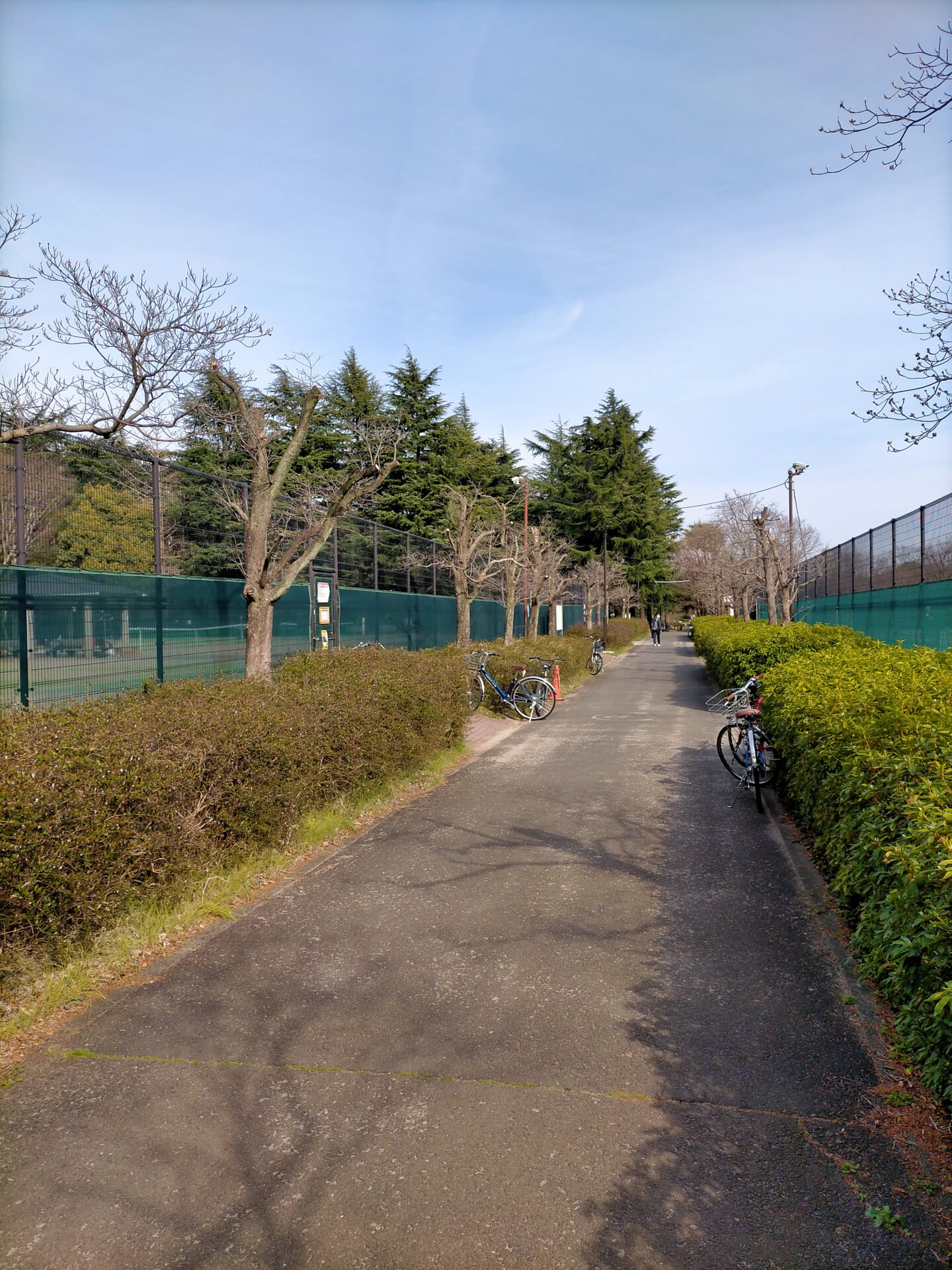 野川公園テニスコート